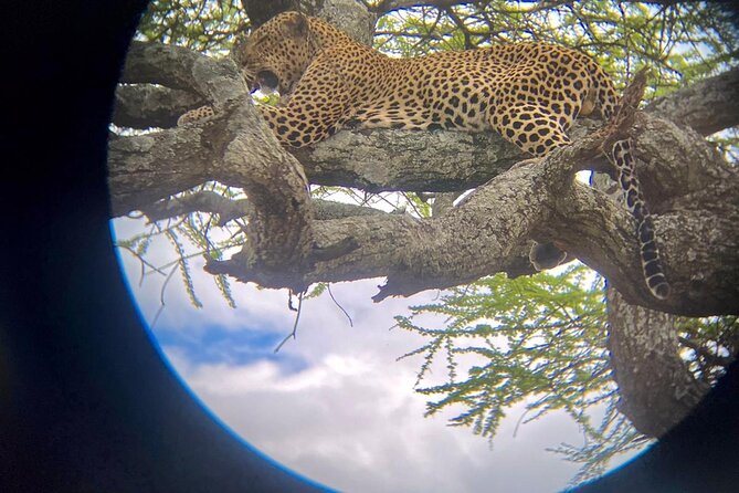 Best of Tanzania 5days 4nights safari - Your best-of Tanzania route, built for real wildlife variety