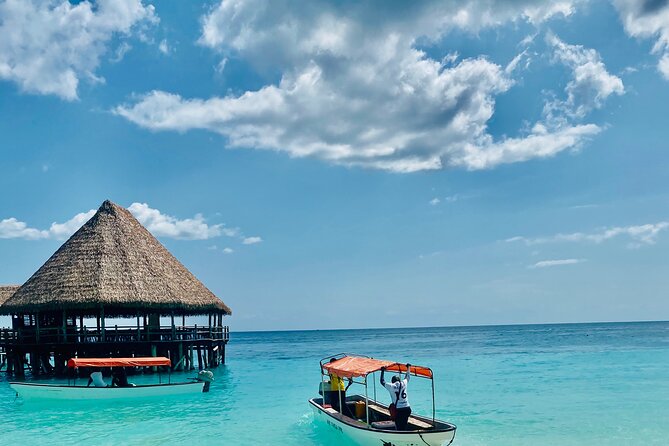 Best Safari and Zanzibar 10-Days Excursions - Day 1 in Arusha: Your Welcome, then a Quick Settle