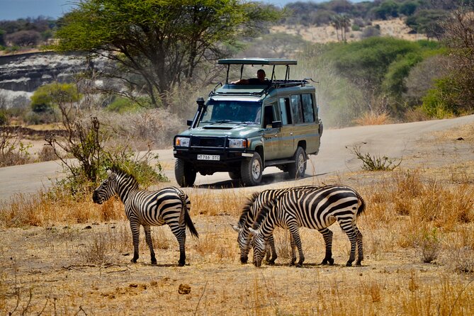Best Safari and Zanzibar 10-Days Excursions - Tarangire National Park: Elephants, Baobabs, and Bird Density