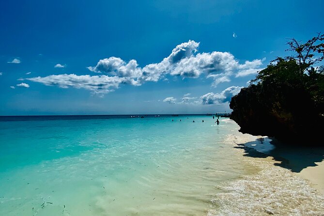 Best Safari and Zanzibar 10-Days Excursions - Serengeti National Park: Migration Country and Predator-Spotting Focus