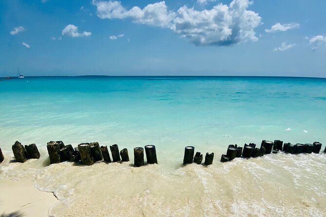Best Safari and Zanzibar 10-Days Excursions - Day 6: One More Drive, Then Back to Arusha