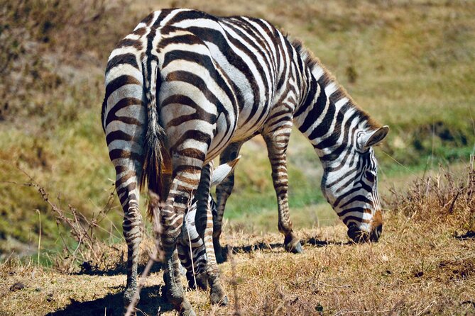 Best Safari and Zanzibar 10-Days Excursions - Price and Value: What You’re Paying For, and What to Budget Separately