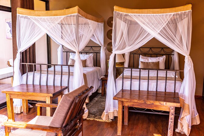 Big Five Classic Safari in Tanzania **Sustainable Travel approach - Moshi, transfers, and pacing that keeps you sane