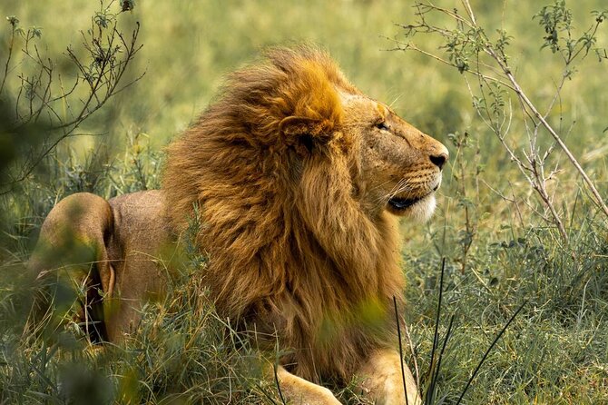 Big Five Luxury Safari in Tanzania - Entering The Big Five Loop From Arusha