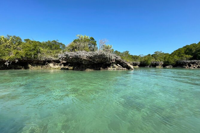 Blue Safari Tour - Key highlights that make this tour practical