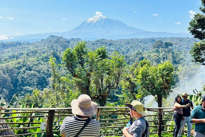 Bodaboda Experience to Materuni Waterfall and Coffee Tour - Materuni Waterfall at 90 meters: the walk, the views, the payoff