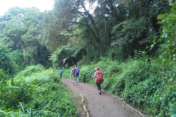 Book Day Hike at Rau Forest Reserve, Near Moshi Town in Tanzania - Key highlights before you go
