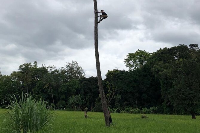Book Day Hike at Rau Forest Reserve, Near Moshi Town in Tanzania - Should you book this Rau Forest Reserve day hike?