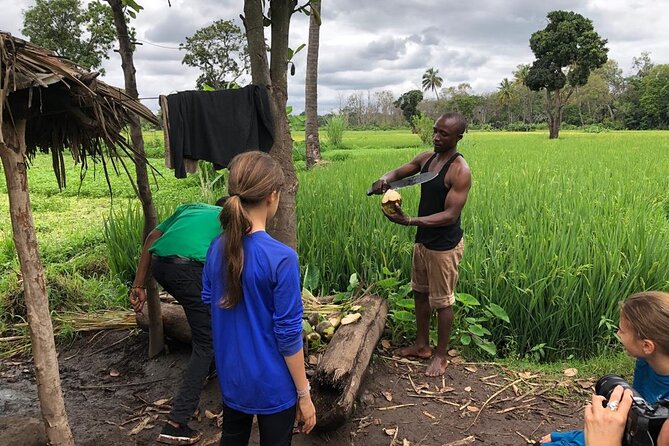 Book Day Hike at Rau Forest Reserve, Near Moshi Town in Tanzania - Conservation work inside the tree nurseries (30 to 45 minutes)