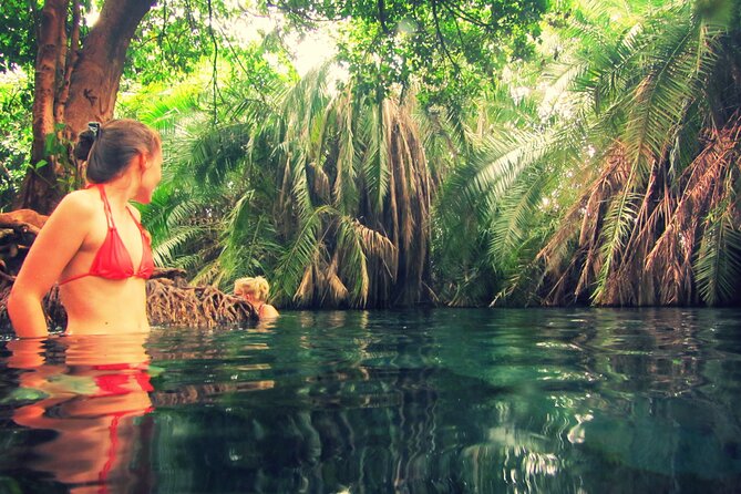 Budge Kikuletwa ( chemka ) hot spring tour from Arusha - From Arusha to the Springs: Timing and How the Day Flows