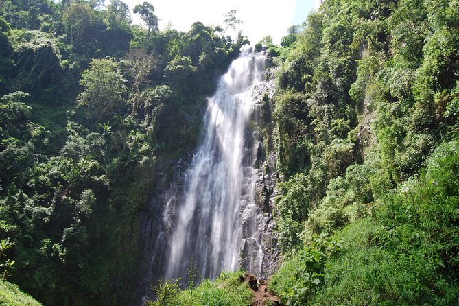 Budge Kikuletwa ( chemka ) hot spring tour from Arusha - What You Can Do in the Water: Swimming, Rope Swings, Tubes, and Jumps