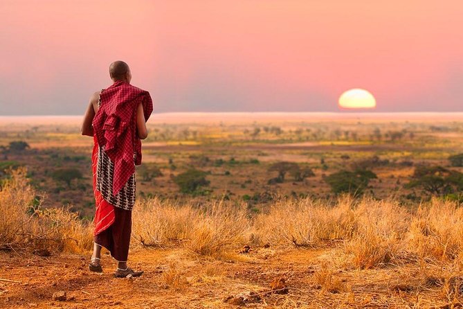 Camping to Serengeti & Ngorongoro Premium Parks - Serengeti and Ngorongoro in 3 Days: What You’re Really Buying