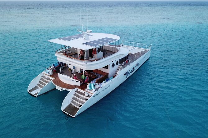 Catamaran Sunset Cruise in Stone Town - Food, drinks, and birthday-ready details on board