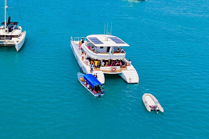 Catamaran Sunset Cruise in Stone Town - Logistics that actually matter: where to meet and how it ends