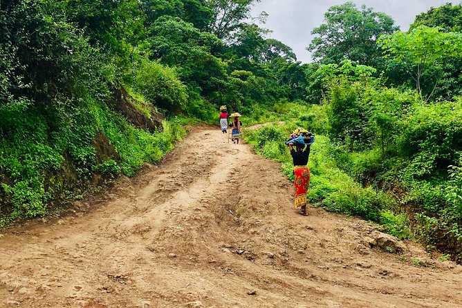 Chagga Villages in Mount Kilimanjaro Cycling Day Trip - Why pedal Kilimanjaro’s base farms instead of just passing through