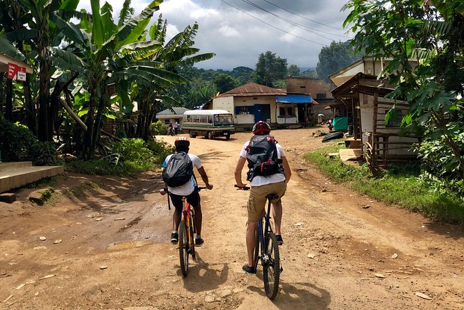 Chagga Villages in Mount Kilimanjaro Cycling Day Trip - Moshi, Kibosho, Lyamungo, and how each area changes the ride