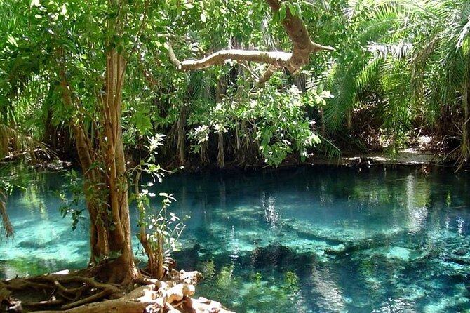 Chemka Hot Springs Day Trip - Who should book this Chemka Hot Springs day trip
