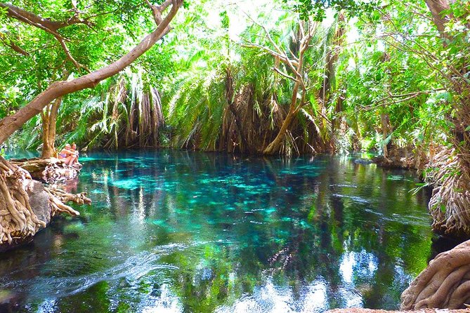 Chemka Hot Springs Tour from Moshi - Key Points to Know Before You Go