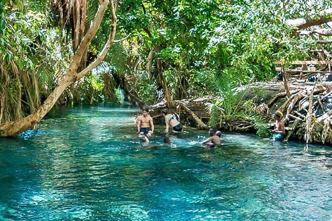 Chemka Hot Springs Tour from Moshi - From Moshi to Chemka: Pickup, Private Transport, and a Simple Schedule