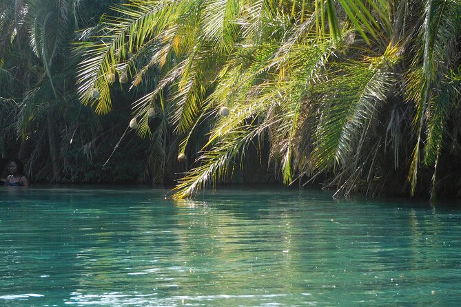 Chemka (Kikuletwa) Hot Springs, Tanzania - Entering the Fig-Root Oasis: What Swimming Feels Like Here