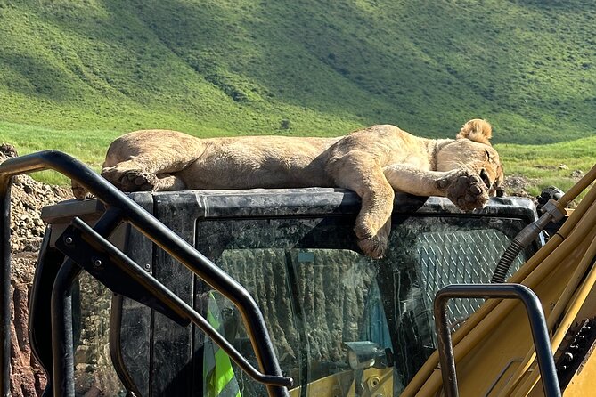 Classic 4-Day Tanzania Safari: Tarangire, Serengeti & Ngorongoro - Key Highlights