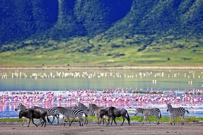 Classic 4-Day Tanzania Safari: Tarangire, Serengeti & Ngorongoro - Who This Safari Fits Best