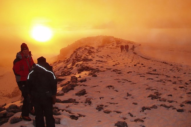 Climb Kilimanjaro 8-Day Lemosho Route with Stunning Scenic Views - Key highlights worth knowing before you go