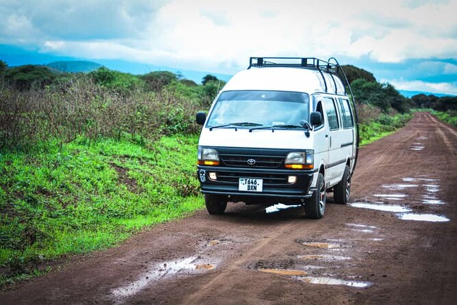 Climb Kilimanjaro in 8 Days via Lemosho Route - Day 2: rainforest to Shira Camp 1, and the first real acclimatization step