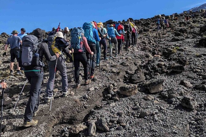 Climb Kilimanjaro in 8 Days via Lemosho Route - Day 4: cross the Shira Plateau, aim for Lava Tower junction, then Barranco Camp