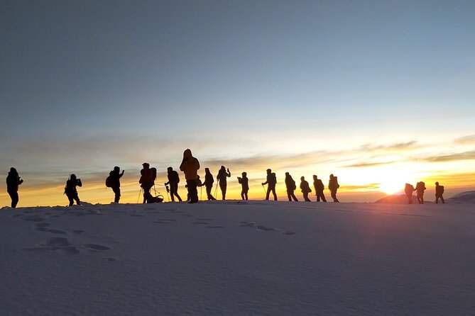 Climb Kilimanjaro - Lemosho Route 7 Day Climb - Shira Plateau days: Mti Mkubwa to Shira Camp 2 at a patient pace