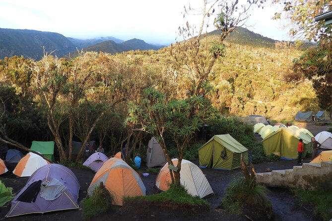 Climb Kilimanjaro - Lemosho Route 7 Day Climb - Summit night: Stella Point sunrise and the long road to Uhuru Peak