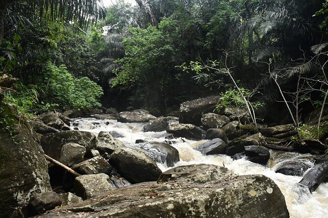 Climb Kilimanjaro - Lemosho Route 7 Day Climb - Lava Tower and the semi-desert reality check on your hardest early day