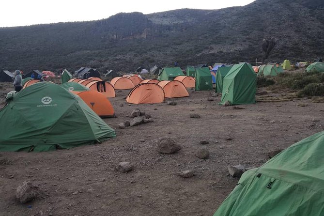 Climbing Kilimanjaro - Machame Route - Day 1: Moshi to Machame Gate, Montane Forest to Machame Camp at 2980m