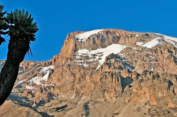 Climbing Kilimanjaro - Machame Route - Day 3: Shira to Lava Tower at 4630m and On to Barranco Camp at 3950m