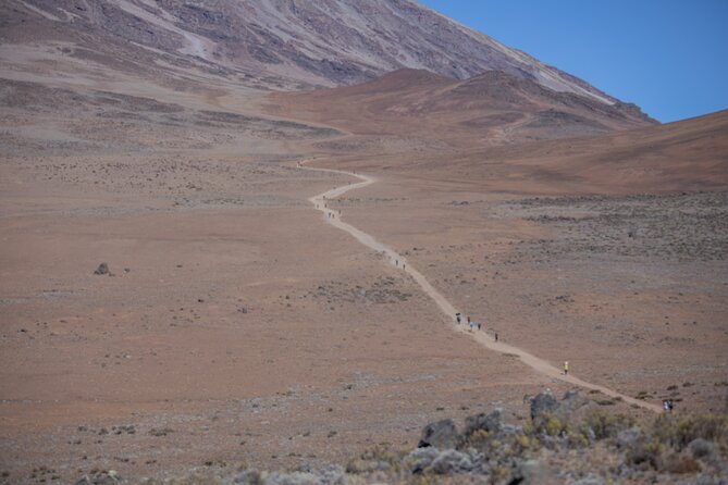Climbing Kilimanjaro - Marangu Route - Day 2 toward Horombo Huts: heathland, giant lobelias, and Mawenzi views