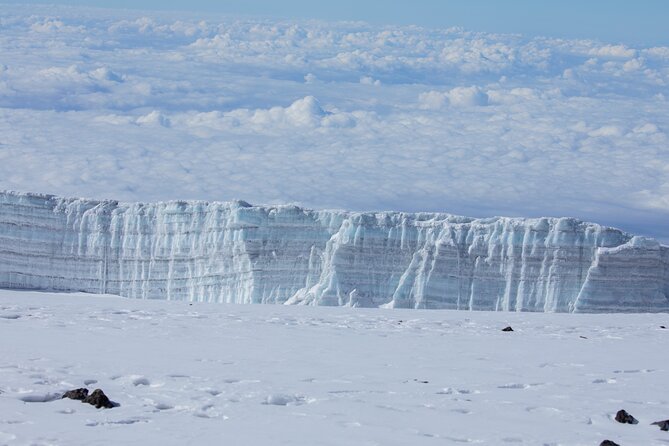Climbing Kilimanjaro - Marangu Route - Descent and the forest finale back to Moshi