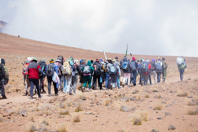 Climbing Kilimanjaro - Marangu Route - Moshi, pickups, and the warm-up before you climb