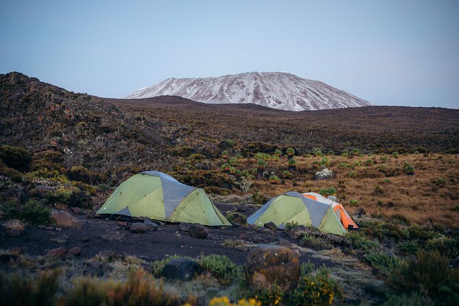 Climbing Kilimanjaro through 7 days Machame Route - Day-by-day flow (and what each stage is really like)