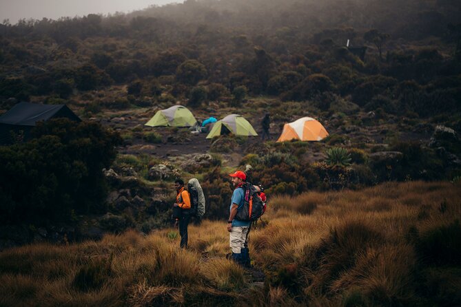Climbing Kilimanjaro through 7 days Machame Route - The Machame Route, why the nickname matters