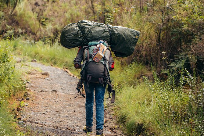 Climbing Kilimanjaro through 8 days Lemosho Route - Price and Value: What $2,760 Buys on Kilimanjaro
