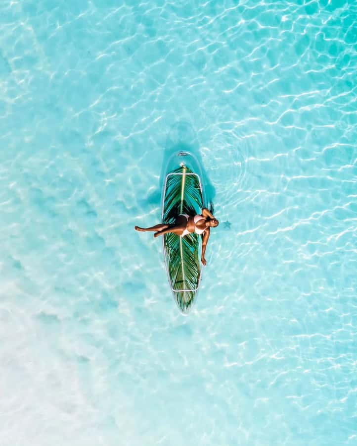 Coastal Odyssey: Kayaking Adventure at Kendwa & Nungwi Beach - Who this Zanzibar transparent kayaking trip suits best