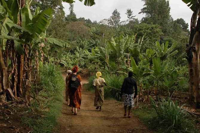 Coffee walk with stay in the village - Price and value: what $270 buys you over 3 days