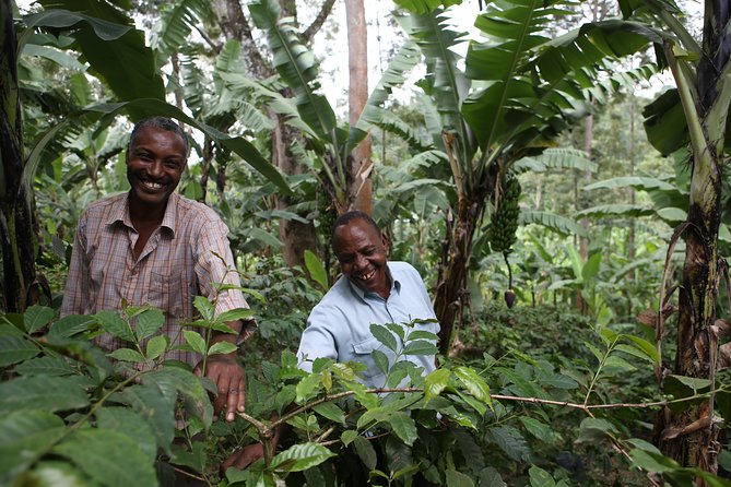 Coffee walk with stay in the village - Morning walk starts at village life, then shifts to the coffee farm