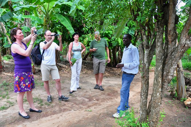 Come and taste the Zanzibar feelings - Practical Tips So Your Day Feels Easy