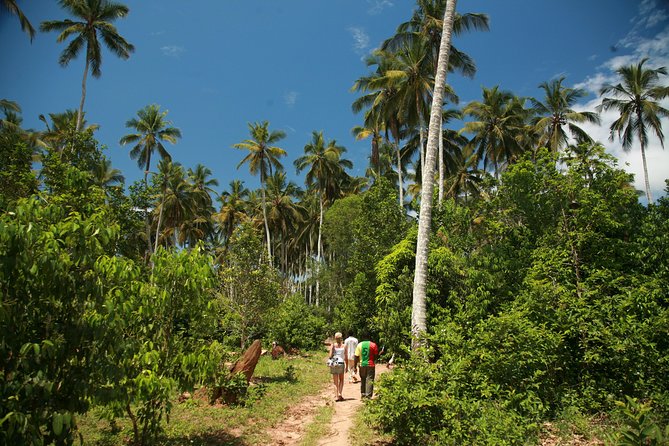 Come and taste the Zanzibar feelings - Spice Farm Time: Learning by Walking the Plantation