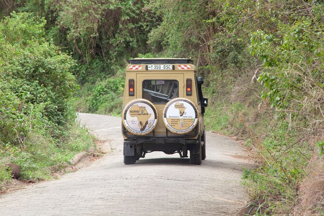 Common 5 Days Tanzania Serengeti Big 5 Private Safari | BURIGI CHATO SAFARIS - Meals and lodging: the comfort plan behind the wildlife