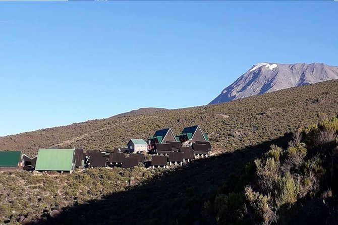 Conquer Kilimanjaro: 5-Day Marangu Route Adventure - Day 4 to Uhuru Peak: midnight start, steep scree, and sunrise payoffs