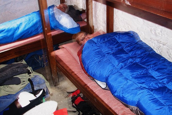 Conquer Kilimanjaro: 5-Day Marangu Route Adventure - Day 5 back to Moshi: moorlands descent and your certificates moment