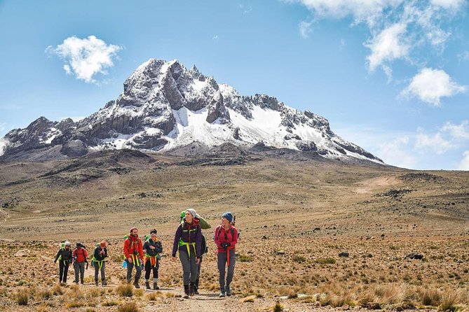 Conquer Kilimanjaro: 5-Day Marangu Route Adventure - Day 1 to Mandara Huts: rainforest warm-up and registration reality
