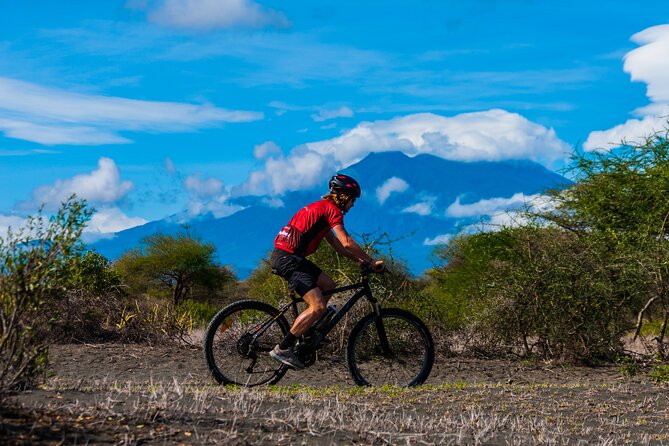 Cycling from Kilimanjaro to Ngorongoro Crater - Day 6: lodge reset, optional game drive, then transfer out
